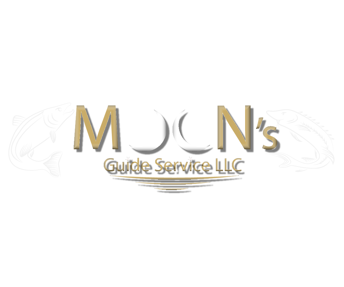 Moon's Guide Service